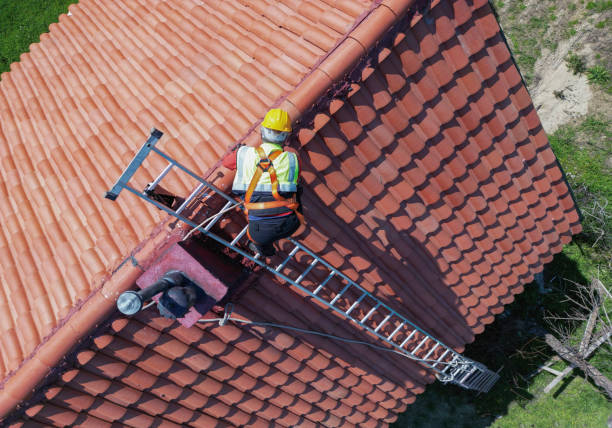 Best Metal Roofing Installation  in East Hazel Crest, IL